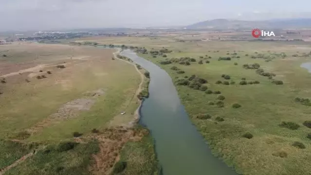 Son dakika... Uluabat Gölü can çekişiyor