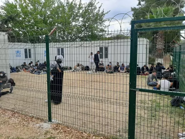 Yolcu otobüsü ve minibüste göçmen sevkiyatı jandarmaya takıldı