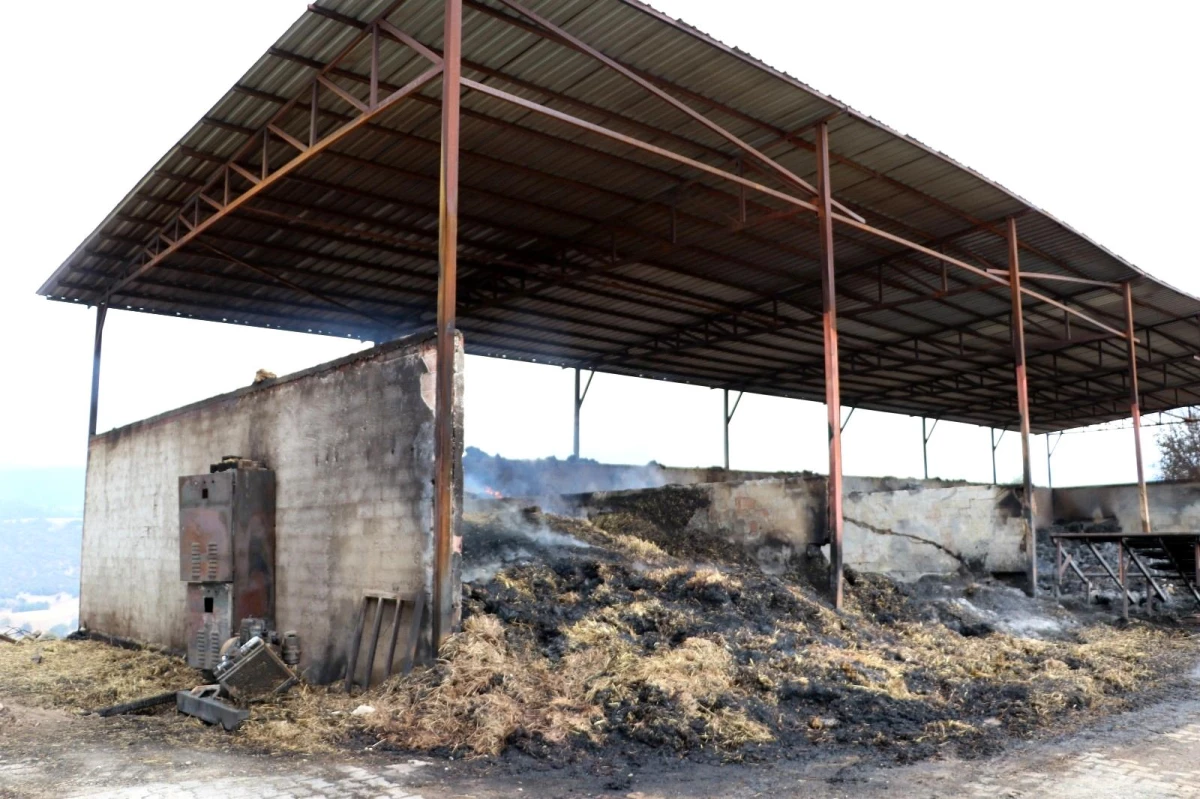 Son dakika: Amasya\'da çıkan yangın hala devam ediyor