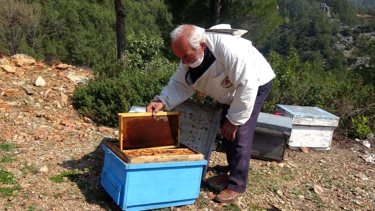 Son dakika haber: Arı kovanlarına ilaç sıkarken zehirlenip öldü