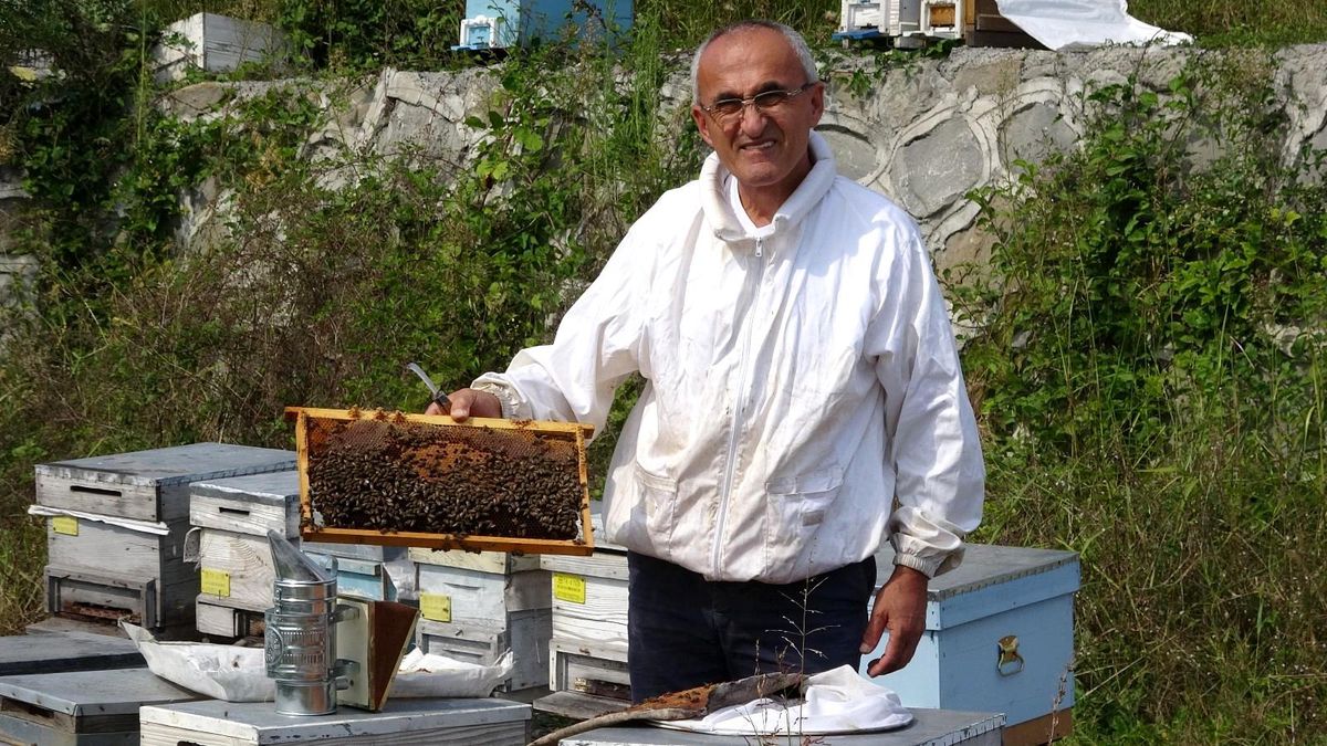 Arı üreticileri 300 ton baldan 60 milyon TL gelir elde etti