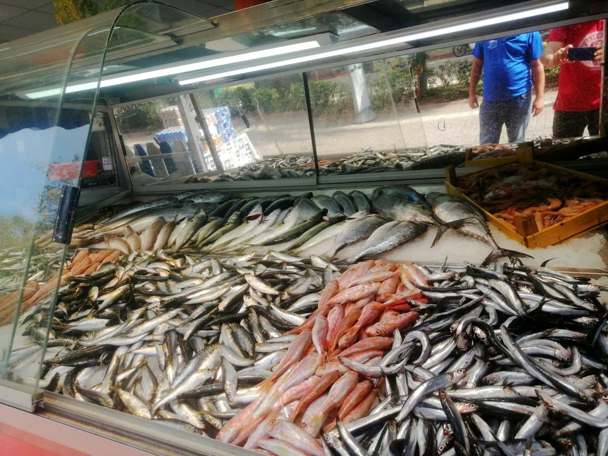 Erdek\'te balık tezgahları şenlendi