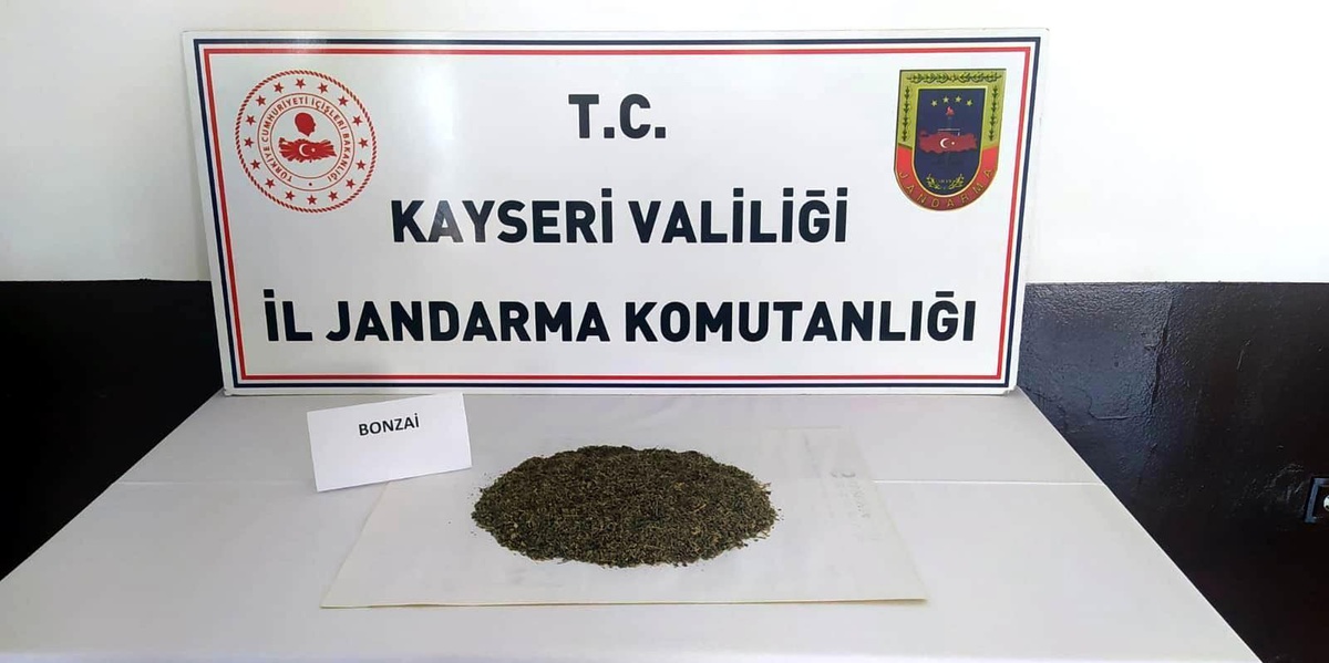 Kadınların çantalarında yarım kilo bonzai çıktı
