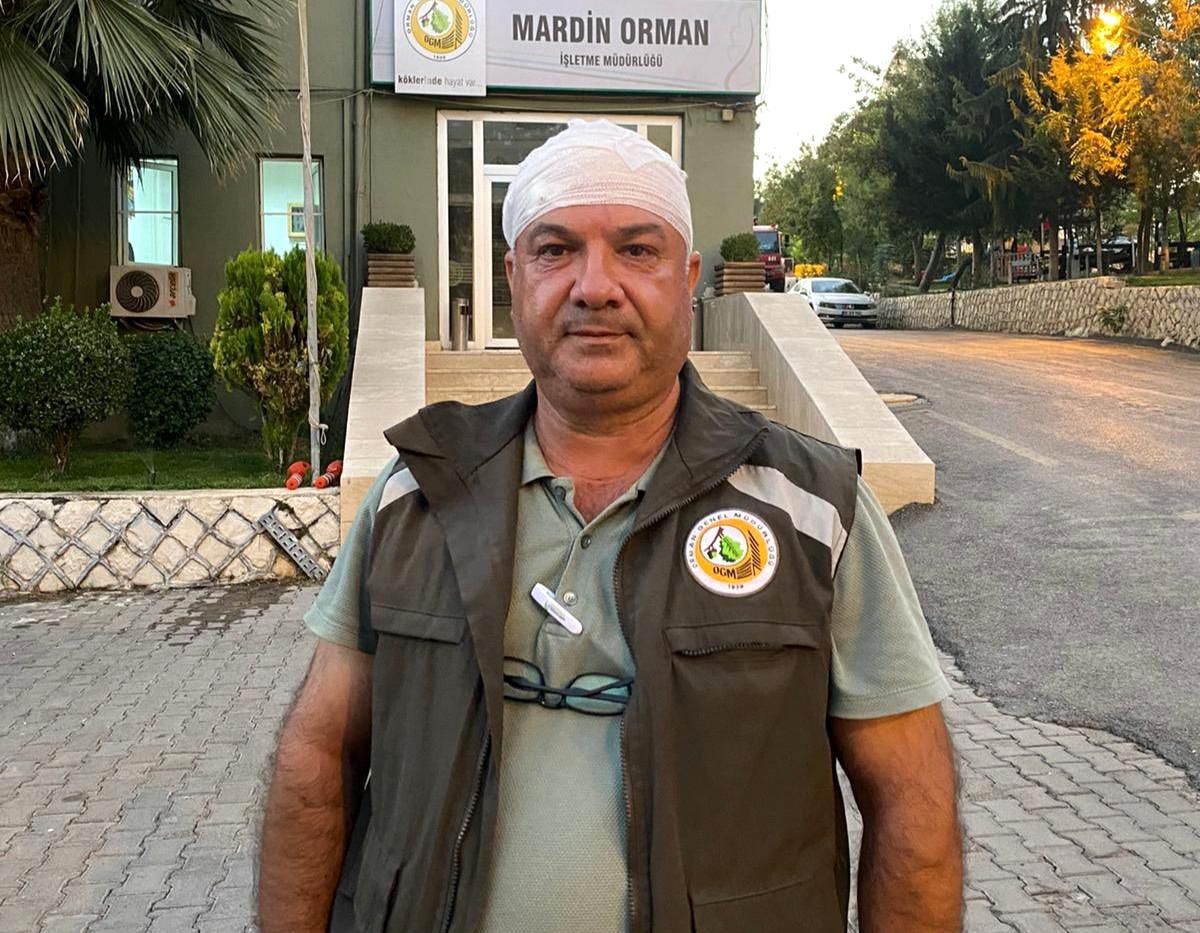 Mardin\'de kaçak ağaç kesimi yapan kişiler, orman görevlilerini darp etti