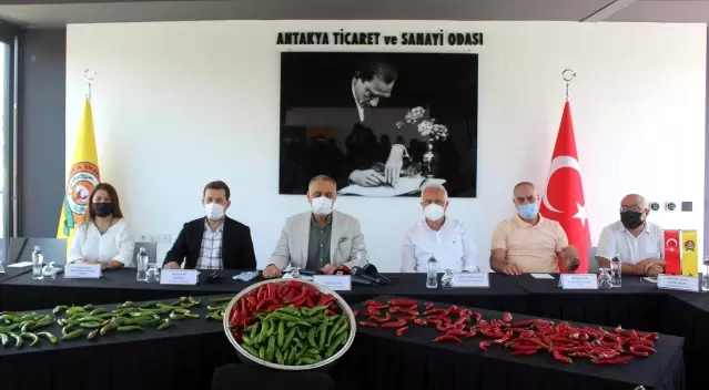 Samandağ biberine coğrafi işaret belgesi Samandağ biberine coğrafi işaret belgesi