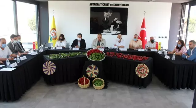 Samandağ biberine coğrafi işaret belgesi Samandağ biberine coğrafi işaret belgesi