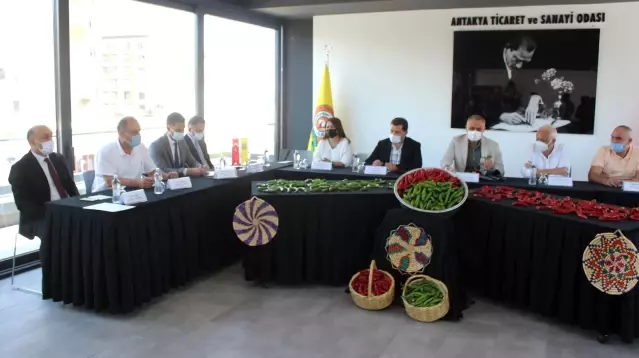 Samandağ biberine coğrafi işaret belgesi Samandağ biberine coğrafi işaret belgesi