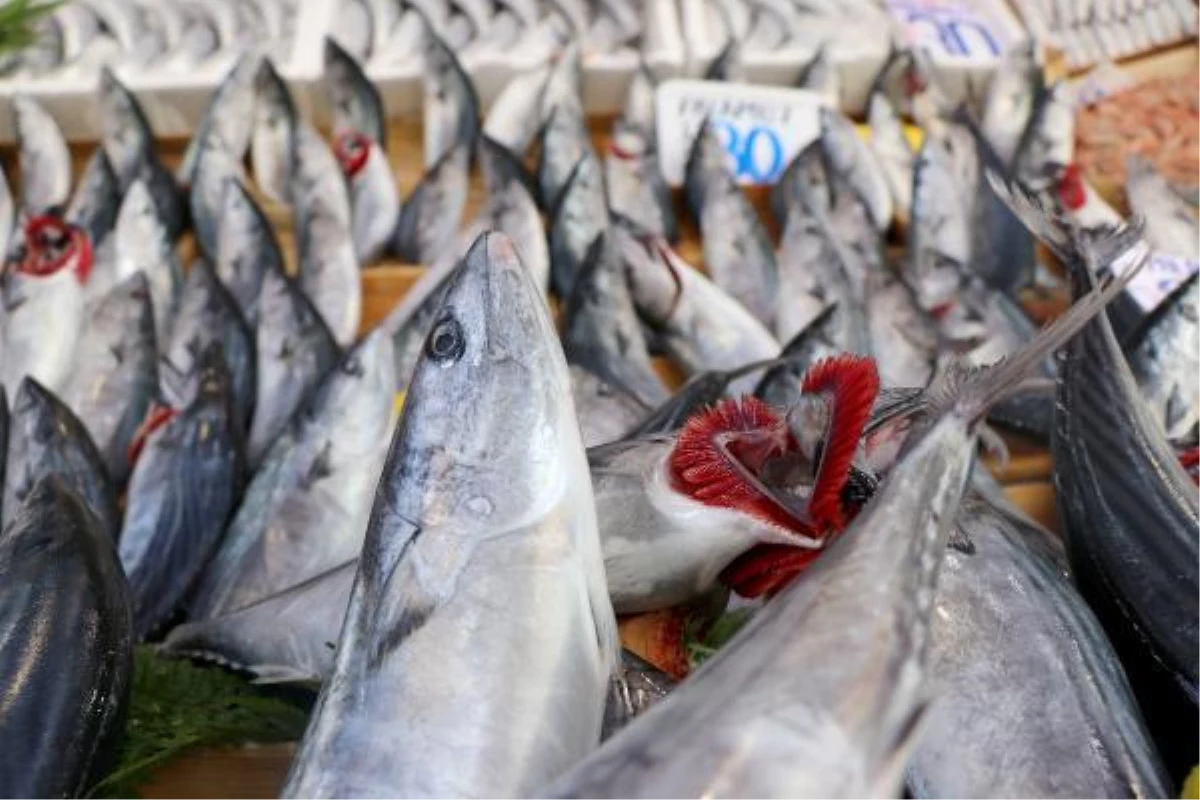 Sezonun açılmasıyla uzmanlar uyarmaya başladı: Esmer etli balıklara dikkat