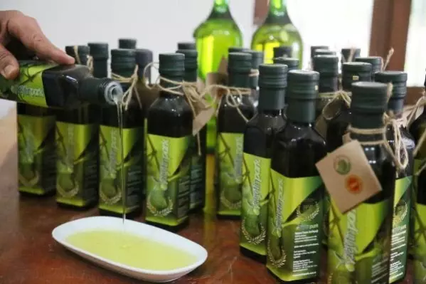 TAVŞAN YÜREĞİ ZEYTİNİN YAĞI, EN YÜKSEK ANTİOKSİDAN ORANINA SAHİP TAVŞAN YÜREĞİ ZEYTİNİN YAĞI, EN YÜKSEK ANTİOKSİDAN ORANINA SAHİP