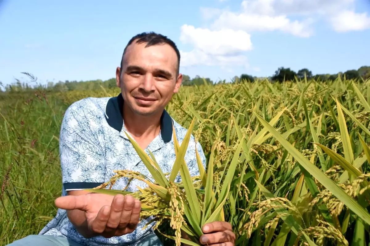 Yağış kimine felaket kimine bereket oldu