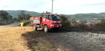 Son dakika haberleri! Yenice'de anız yangını