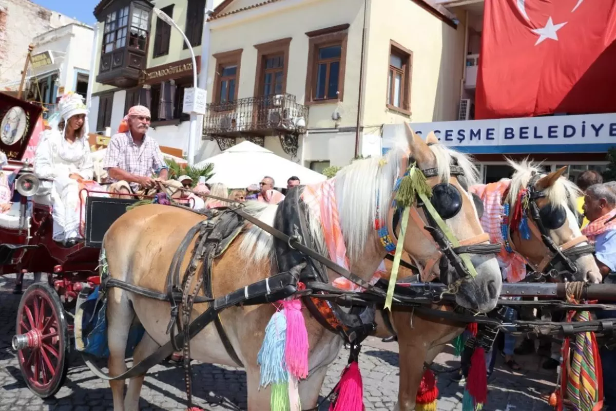 6. Ovacık Tarım ve Sakız Koyunu Festivali başlıyor!