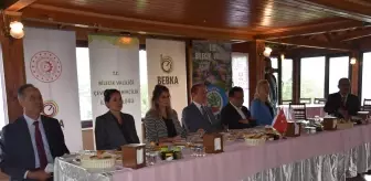 Bilecik'te Şeyh Edebali Havzası'nda sokak sağlıklaştırma projesi uygulanacak