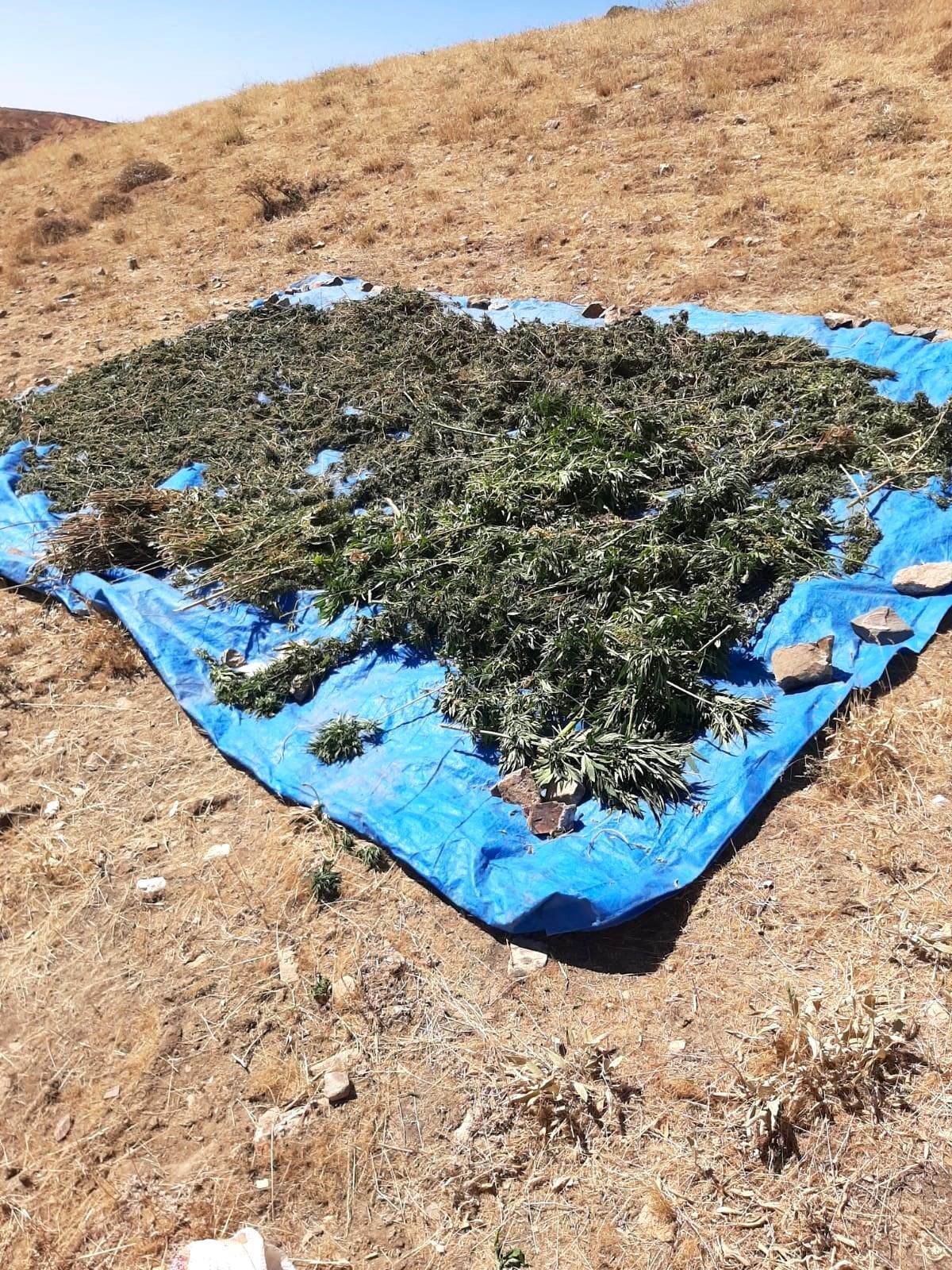 Bingöl\'de 78 kilogram esrar ele geçirildi