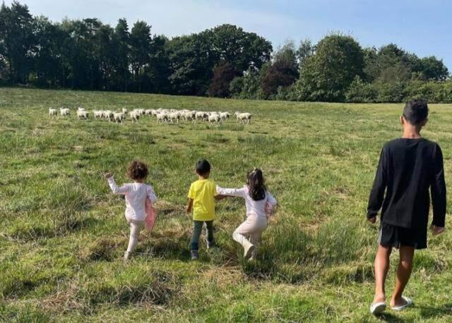 Böyle taşınma sebebi görülmedi! Ronaldo, koyunlar yüzünden yeni bir yalı satın aldı Böyle taşınma sebebi görülmedi! Ronaldo, koyunlar yüzünden yeni bir yalı satın aldı