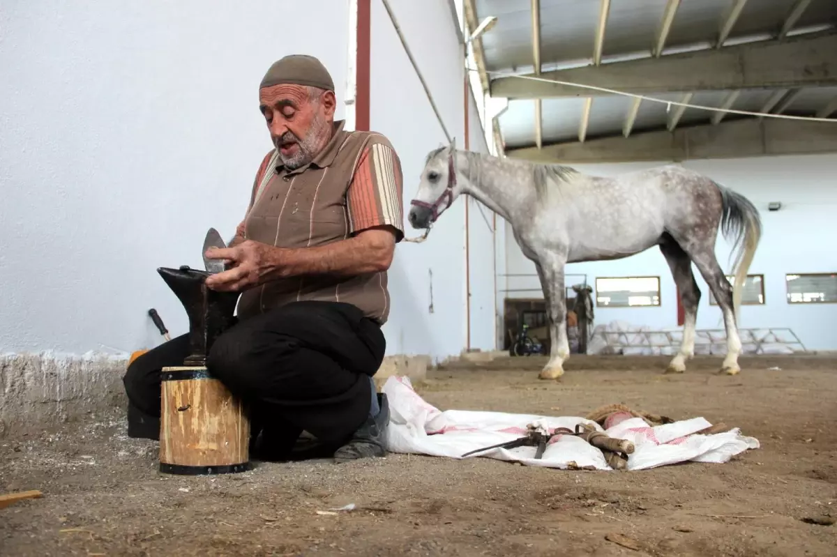 Dükkana getirilen at kalmayınca, seyyar nalbantlığa başladı