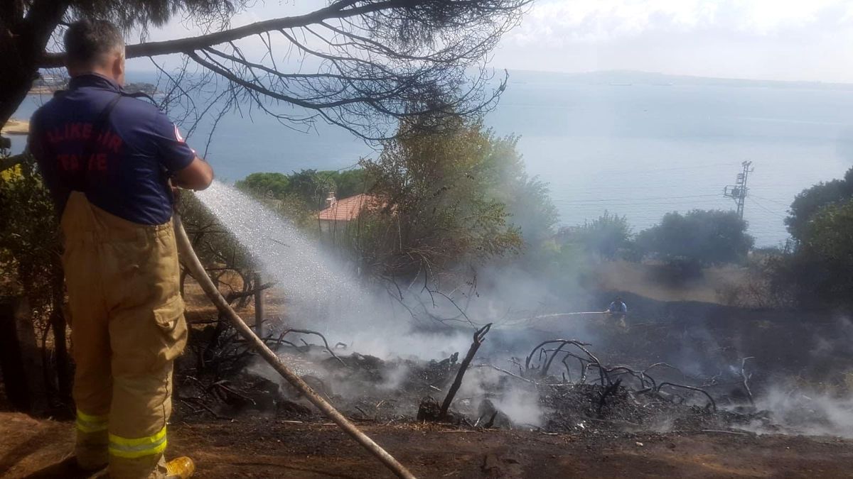 Erdek\'te arazi yangını