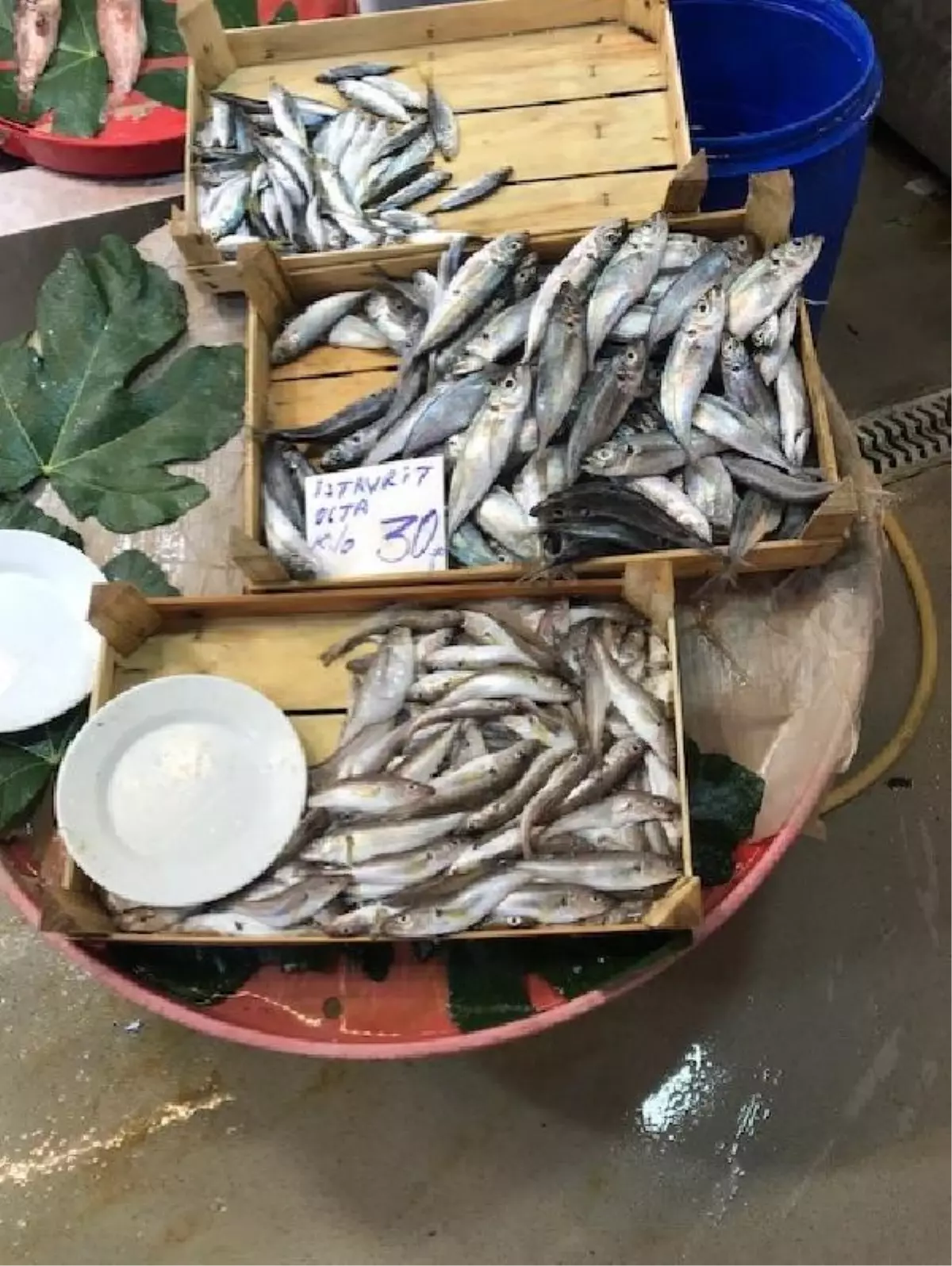 HALDEN RESTORANA BALIK FİYATLARI