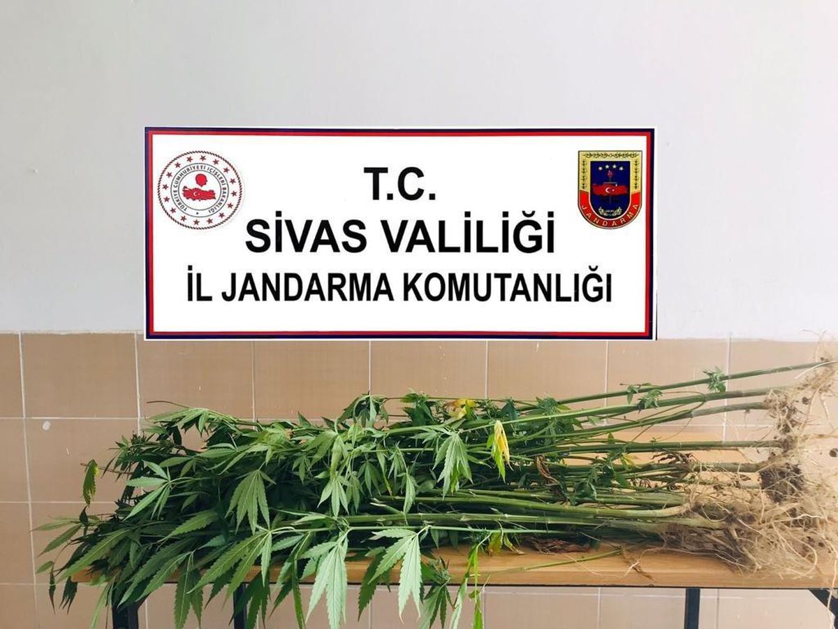 Son dakika! Jandarmadan büyük operasyon, onlarca olay aydınlatıldı