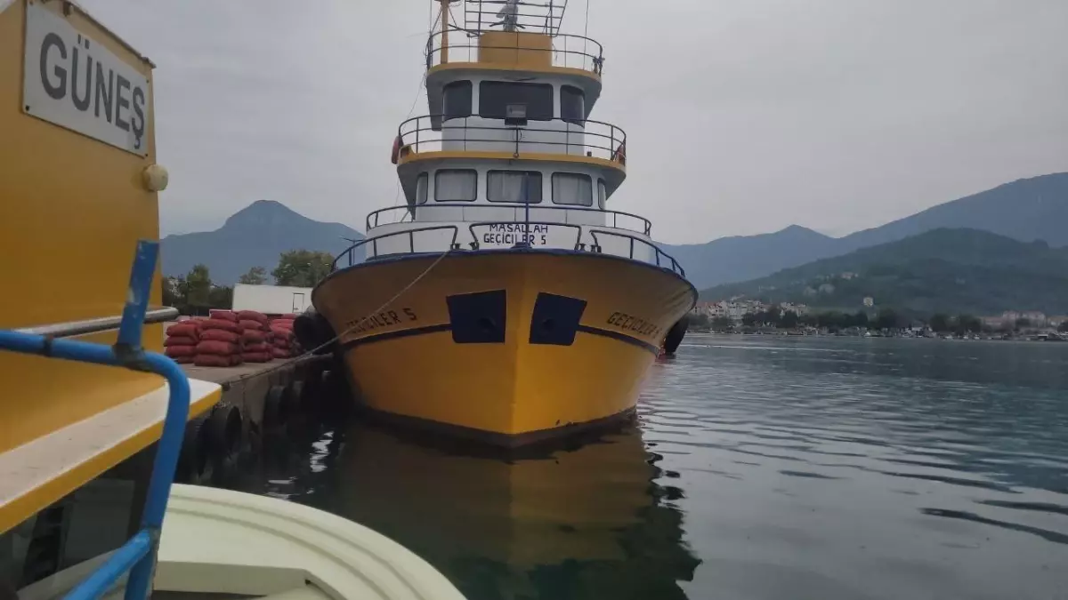 Karadeniz\'de balık bolluğu yaşanıyor