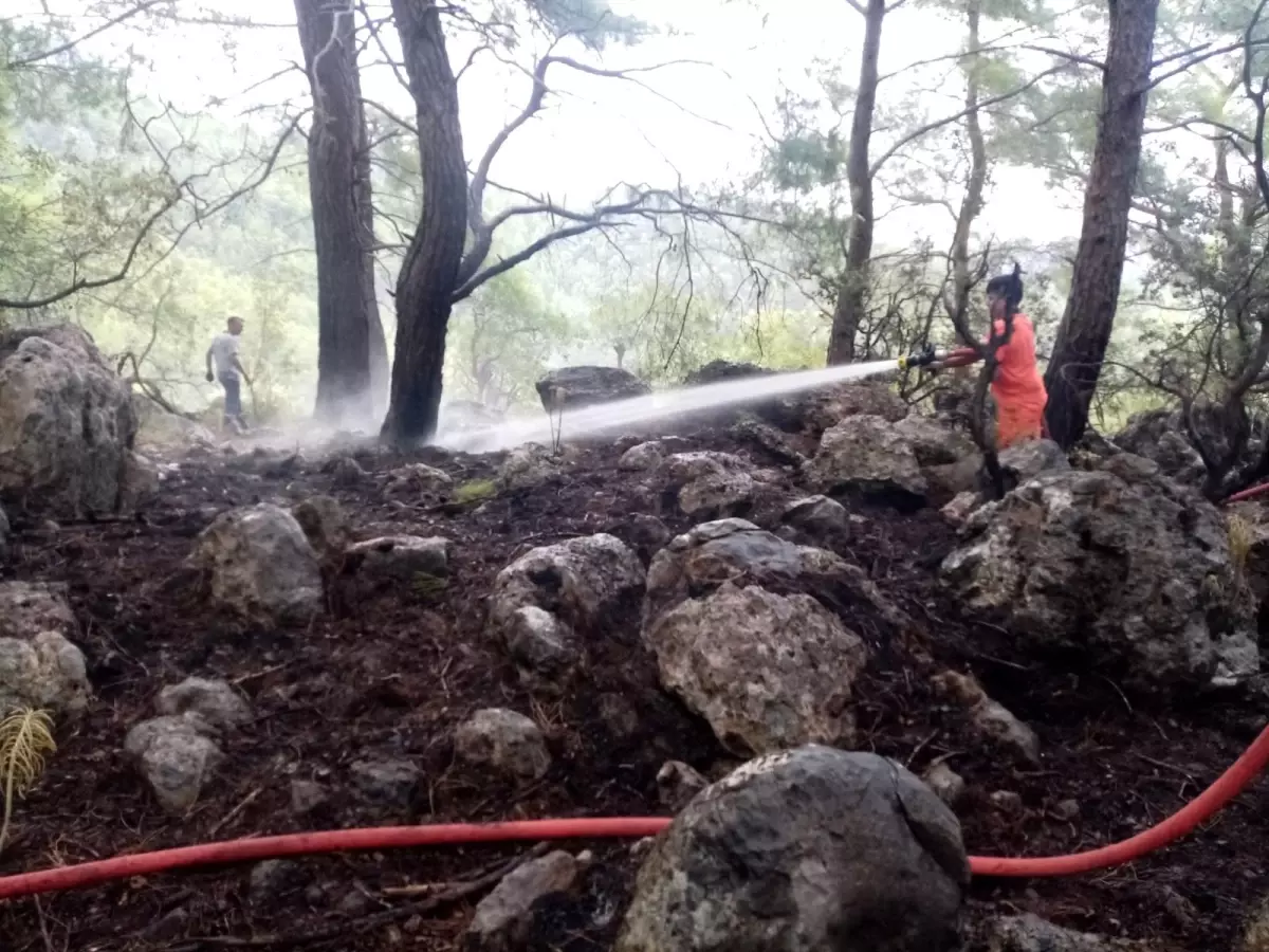 Kemer\'de çıkan orman yangını büyümeden söndürüldü