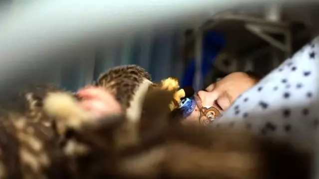 7 başlıkta dünyada ve Türkiye'de bu hafta öne çıkanlar 7 başlıkta dünyada ve Türkiye'de bu hafta öne çıkanlar