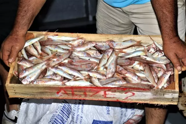 Akdeniz'den balıkçılar ilk avları ile dönmeye başladı