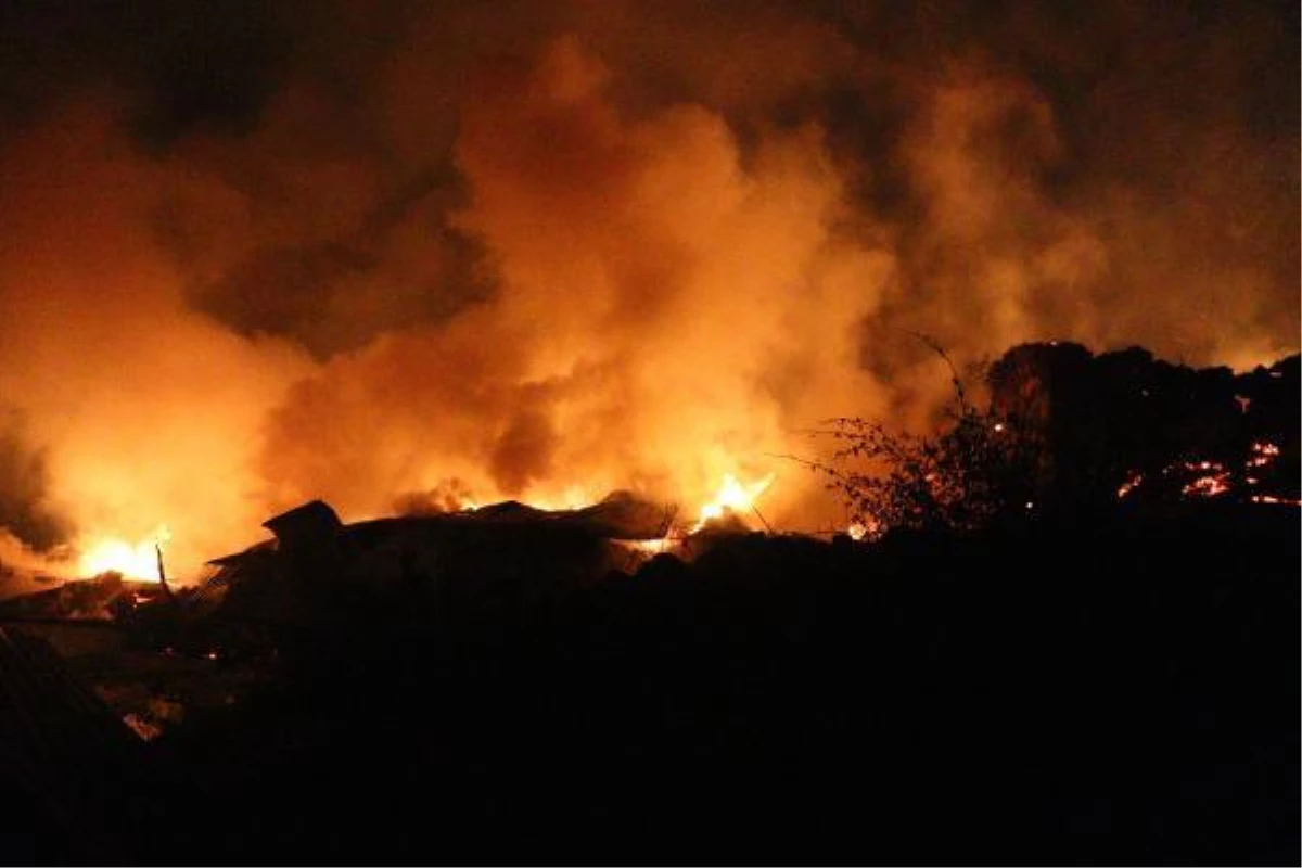 Ankara\'da köyde çıkan yangında 8 ev kül oldu