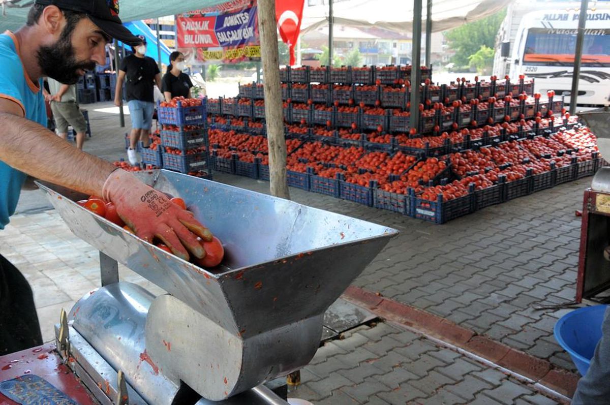 Belediye \'Domates Pazarı\' alanı oluşturdu