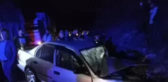 Bitlis'te tır ile otomobilin çarpışması sonucu iki kişi yaralandı