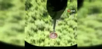 Son dakika haberi | Osmaniye'deki orman yangını büyümeden söndürüldü