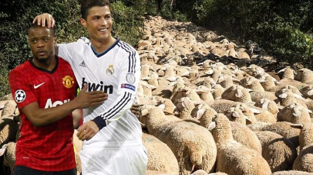 Patrice Evra, evinin yakınında koyun dolaştığı için taşınan Cristiano Ronaldo ile eğlendi