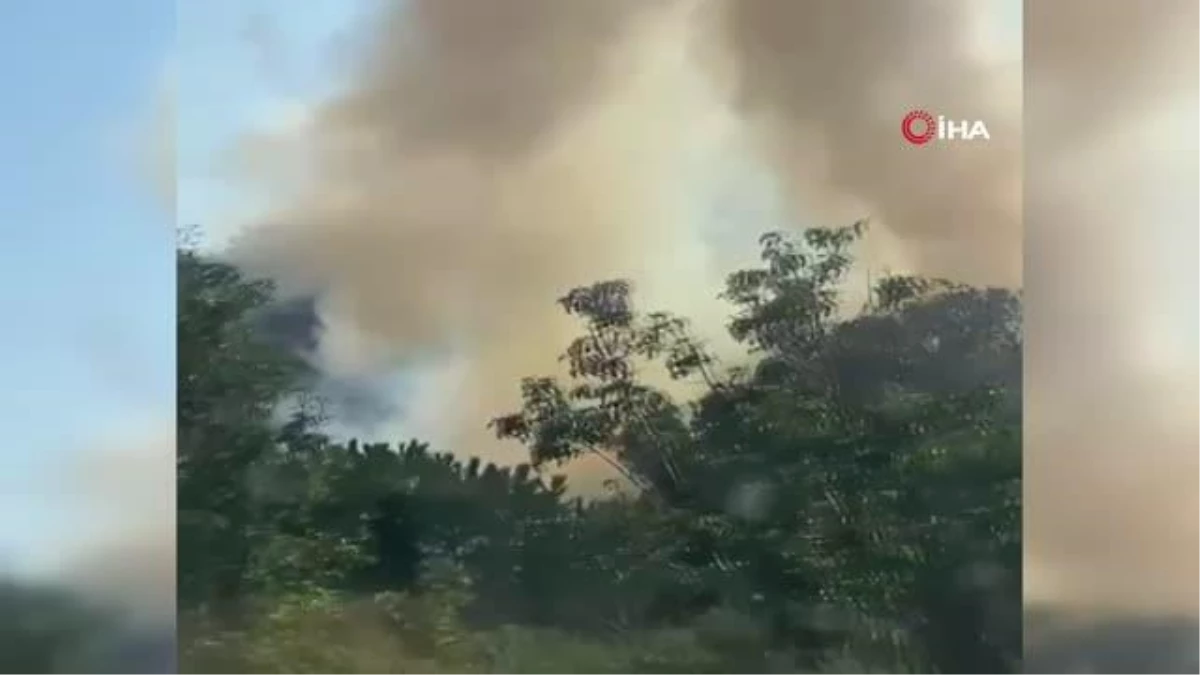 Üsküdar Altunizade\'de ağaçlık alanda yangın çıktı