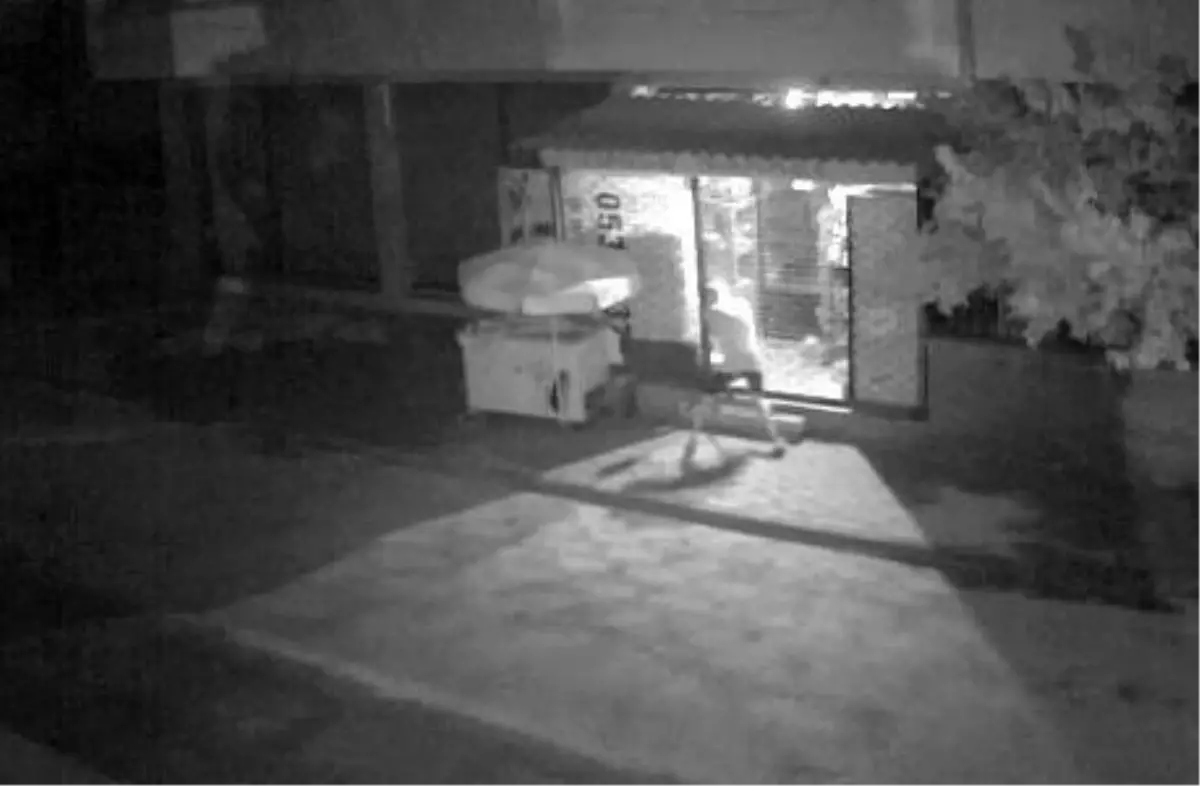 Demir kesme makasıyla iş yeri soymaya kalkan şahıs yakalandı