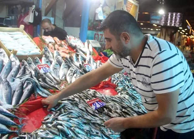 Fiyatlardaki düşüş, balıkçıların yüzünü güldürdü Fiyatlardaki düşüş, balıkçıların yüzünü güldürdü