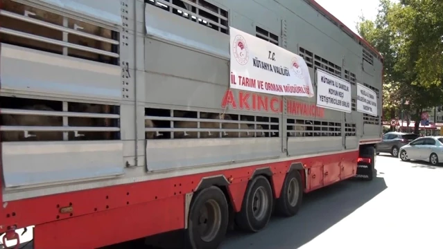 Son dakika haberleri | Kütahyalılardan yangın mağduru Muğla'ya hayvan desteği
