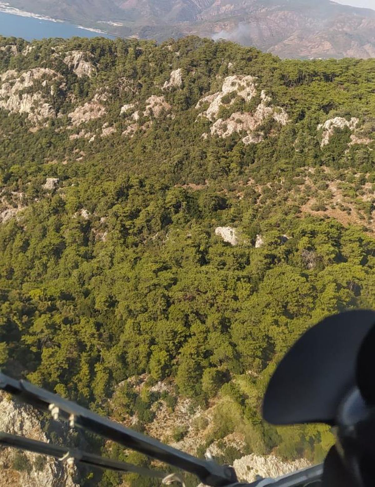 Son dakika: Marmaris\'te çıkan orman yangını kontrol altına alındı