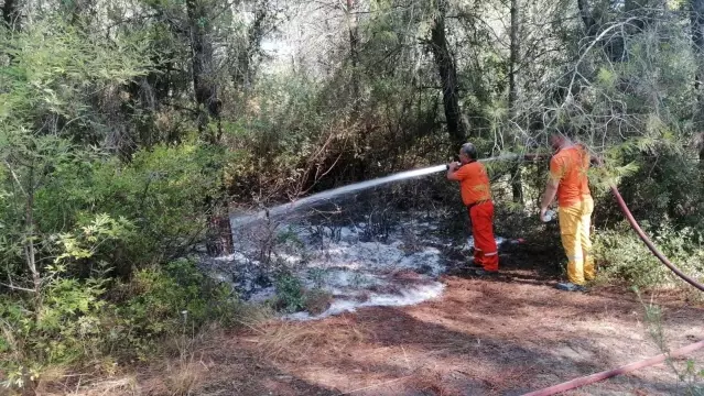 Ormanı yakarken suçüstü yakalandı