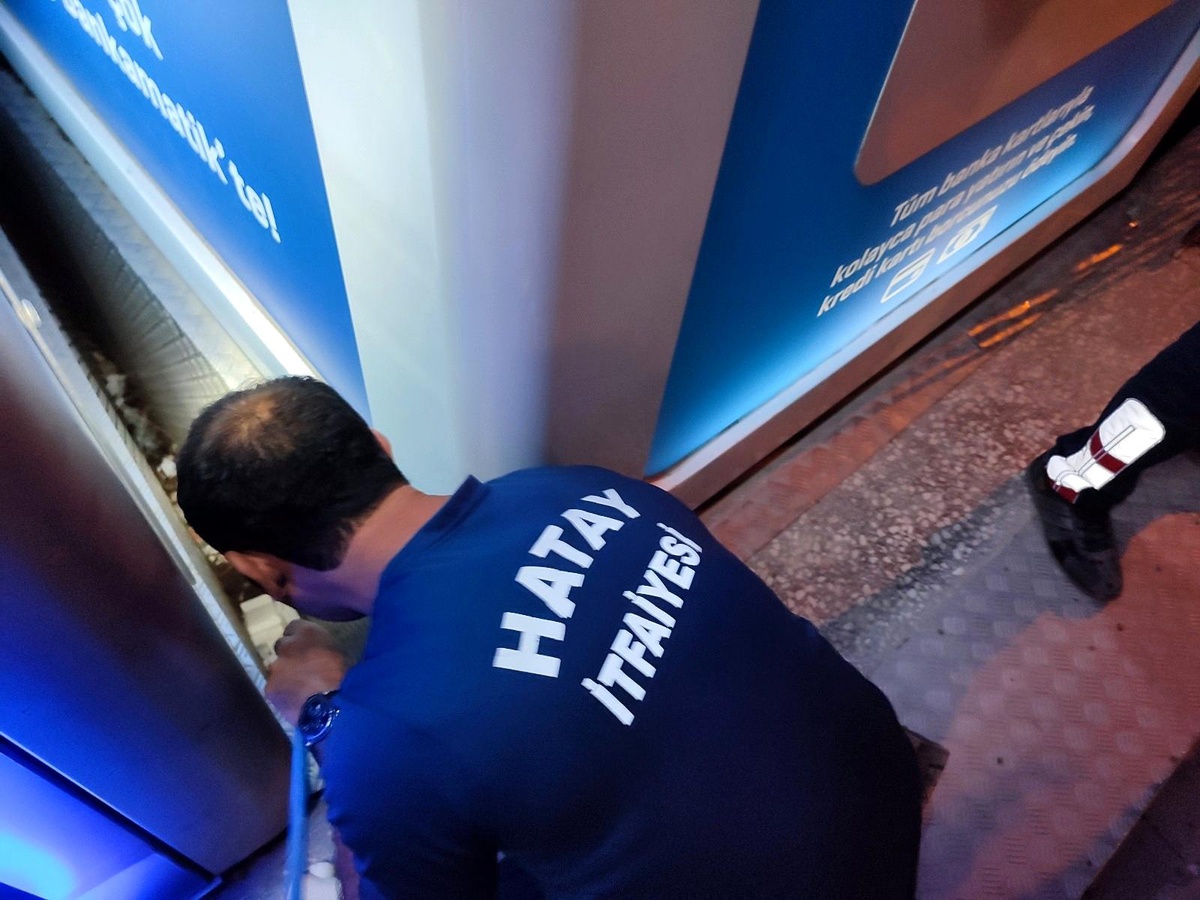 İki yavru kedi mahsur kaldığı yerden kurtarıldı