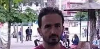 Kestiği ağacın altında kalarak öldü