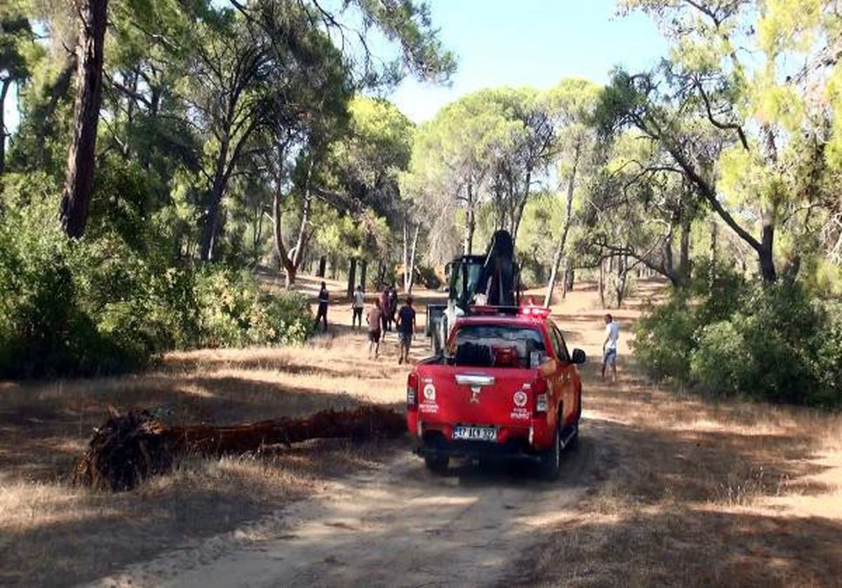 Manavgat\'ta ormanı yakarken yakalanan şüpheliden tuhaf savunma: Amacım dikkat çekmekti