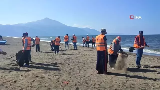 Samandağ'da petrol temizliği çalışmaları 17 gündür sürüyor