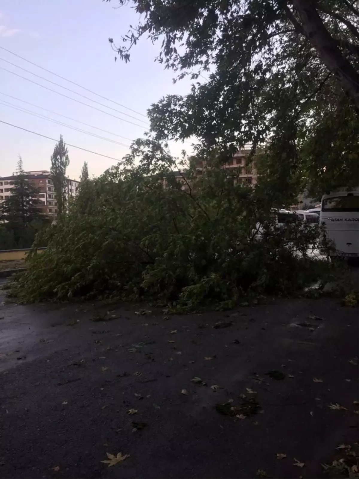 Afyonkarahisar\'da şiddetli rüzgar hayatı olumsuz etkiledi