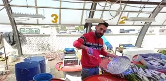 Balık sezonu açıldı, tezgahlarda hamsi bolluğu yaşanmaya başlandı