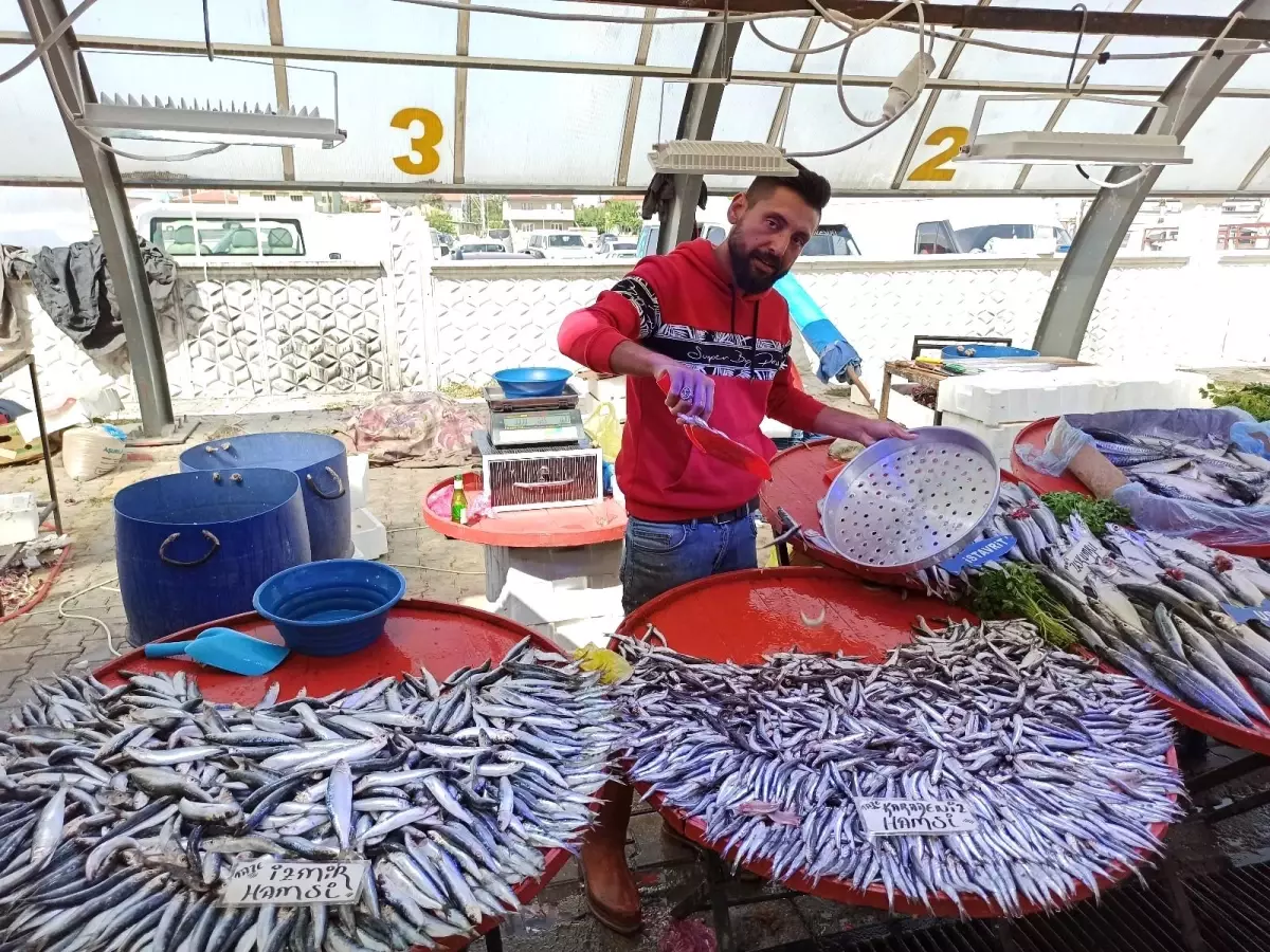 Balık sezonu açıldı, tezgahlarda hamsi bolluğu yaşanmaya başlandı