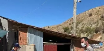Son Dakika | Jandarma, kayıp keçileri dronla buldu