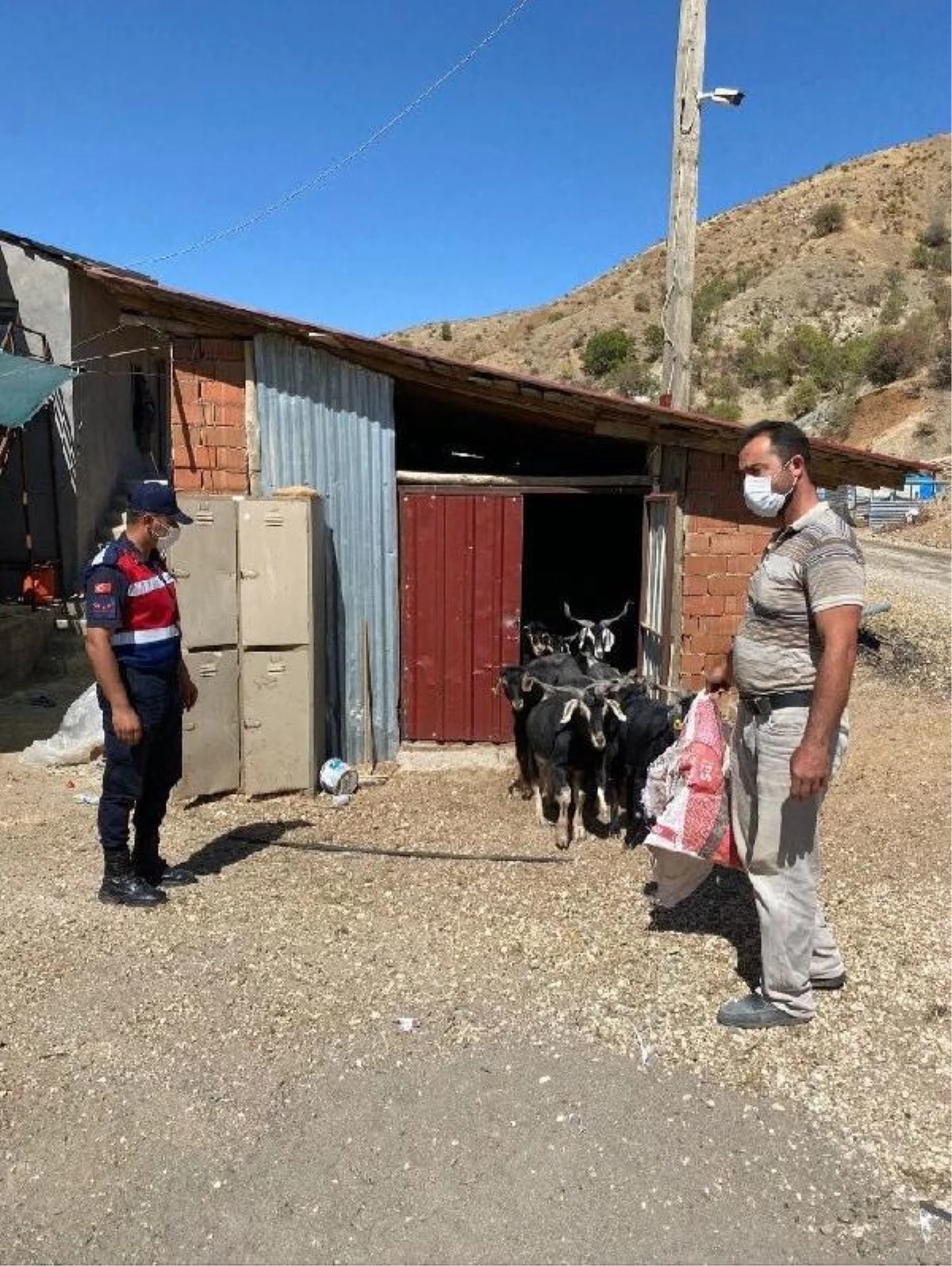 Son Dakika | Jandarma, kayıp keçileri dronla buldu