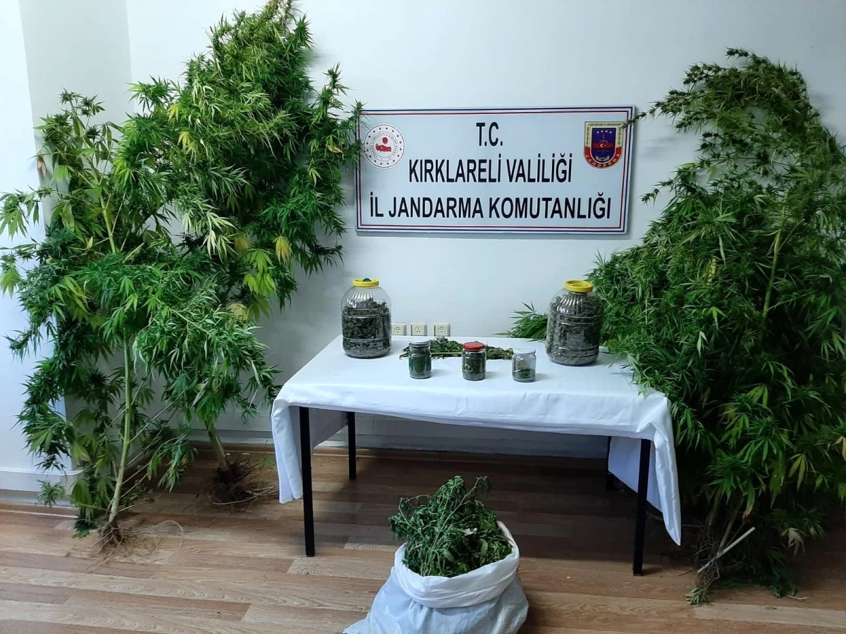 Kırklareli\'de 11 kilogram uyuşturucu ele geçirildi: 5 gözaltı
