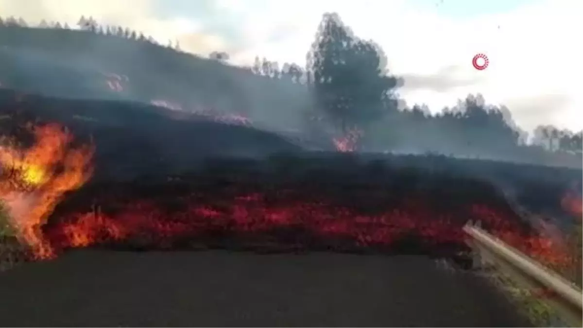 La Palma Yanardağı 100\'den fazla evi yok etti