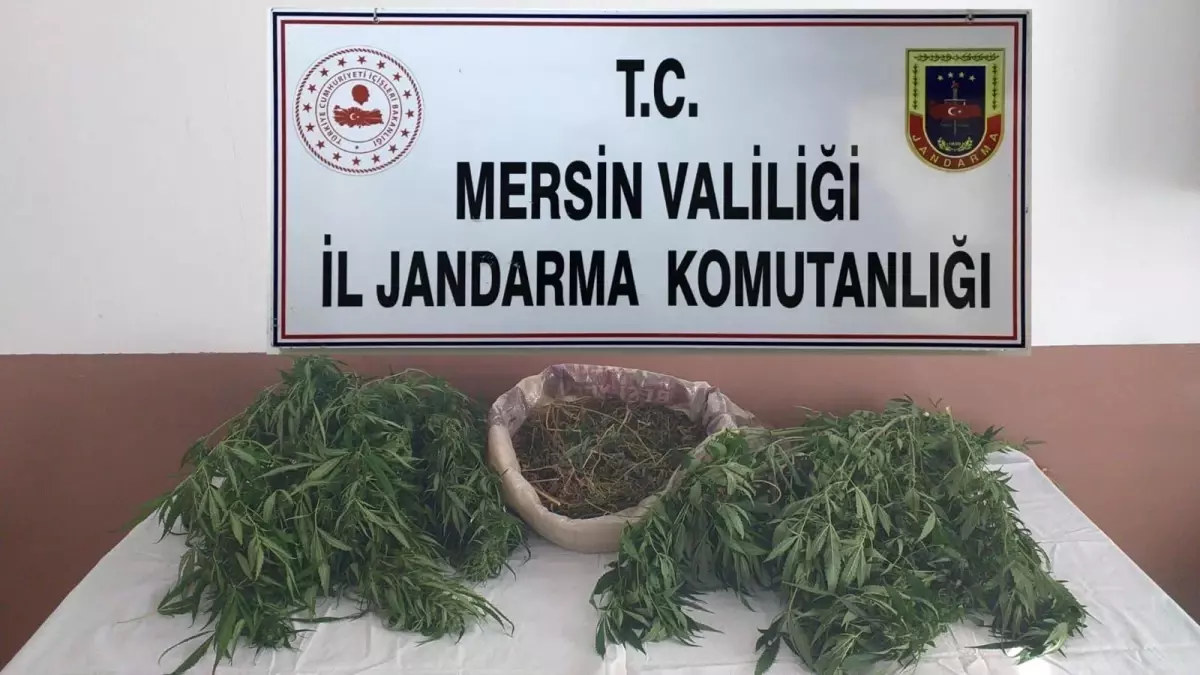 Mersin\'de 1,5 kilo kubar esrar ele geçirildi